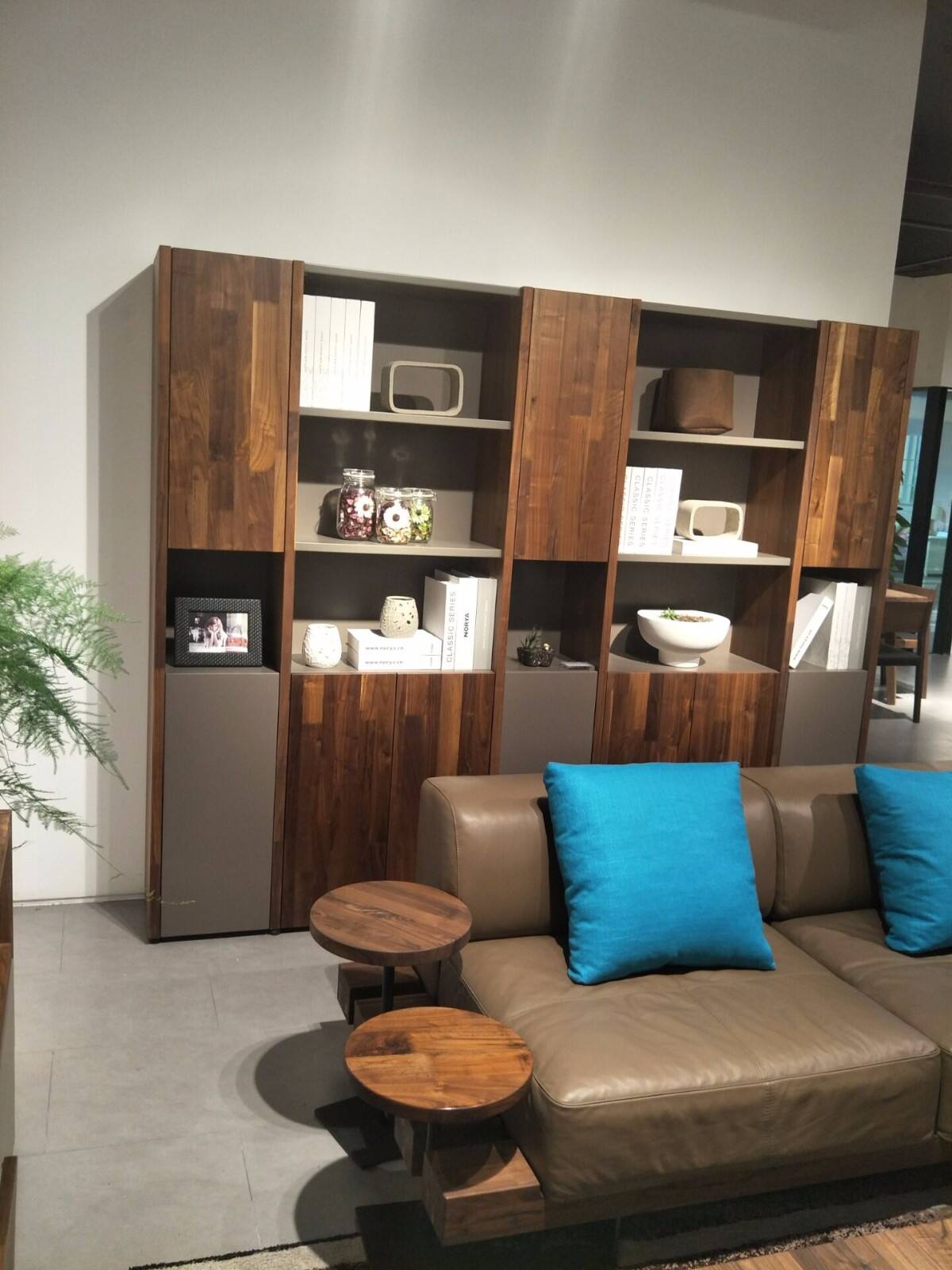 挪亚家 北欧现代 黑胡桃木 高柜